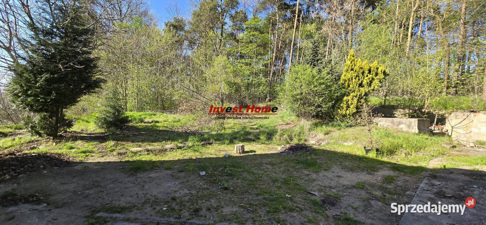 sprzedaży domu wolnostojącego 168m2 Jankowice cegła sprzedam