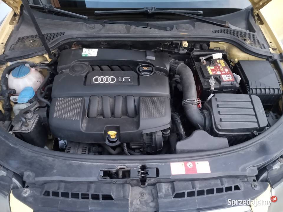 Audi A3 16 MPI Ambiton klimatronic Zamiana manualna Wrocław