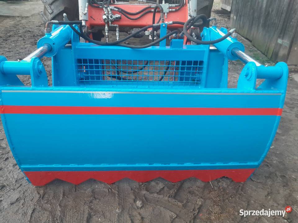 Wycinak szczękowy krokodyl świętokrzyskie Sulborowice