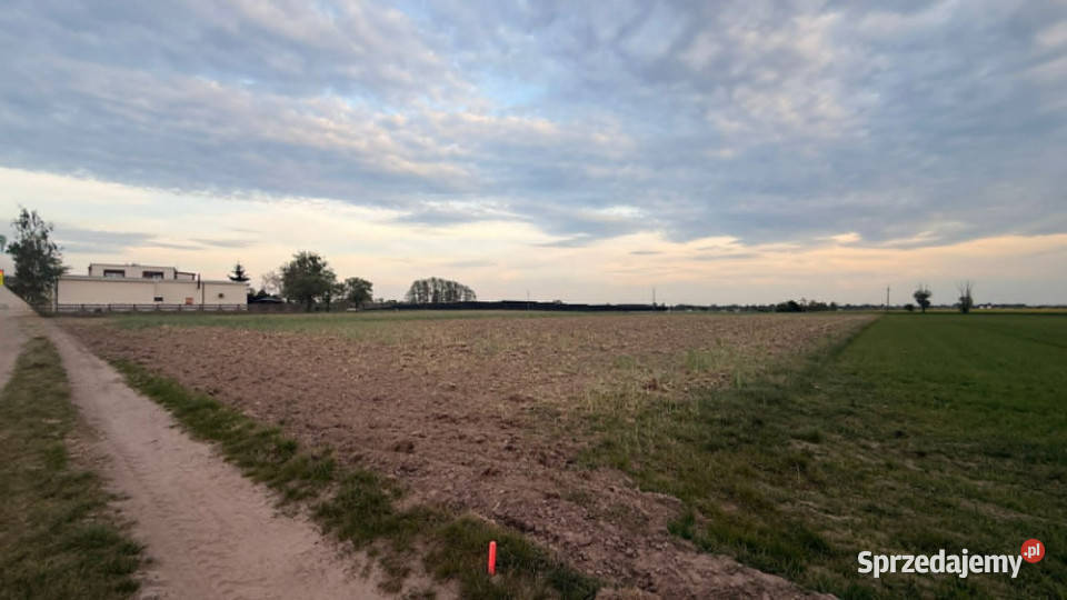 Działki budowlane na sprzedaż Kotunia gm Słupca budowlana sprzedam