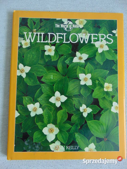 Album Wild Flowers Ann Reilly Lublin sprzedam