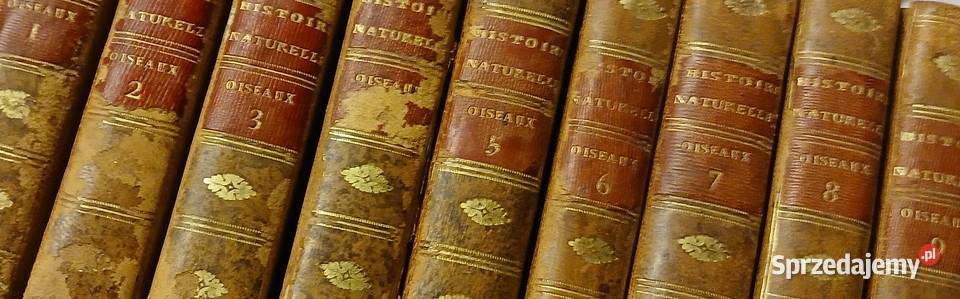 Starodruk Buffon Histoire Naturelle des Oiseaux Poznań