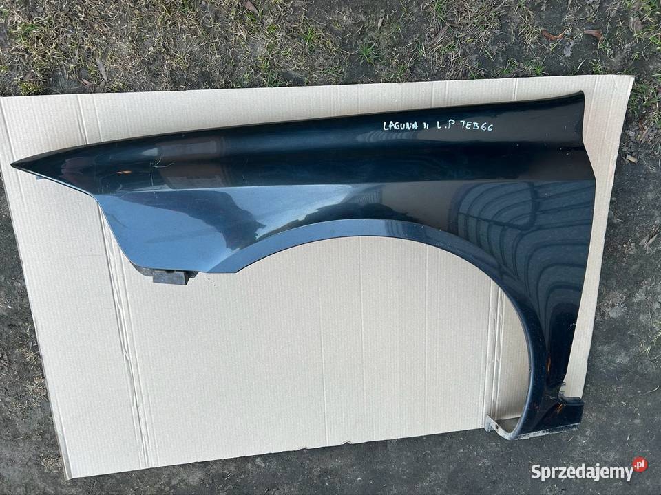 Błotnik lewy renault Laguna 2 teb66 8200295803 kujawsko-pomorskie Grudziądz