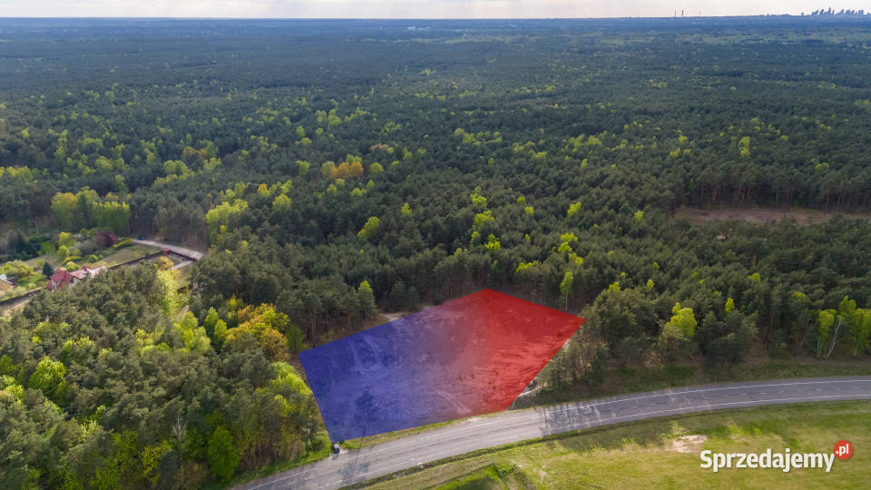 Wiązowna działka inwestycyjna pod usługi S17 Sprzedaż
