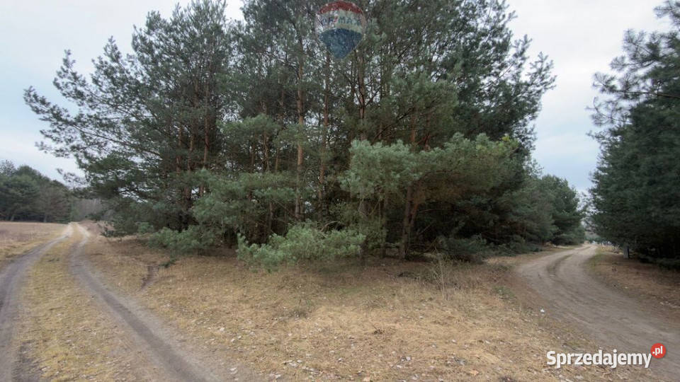 Michałów urokliwa działka budowlana 5500 m2 Sprzedaż Grunty i działki