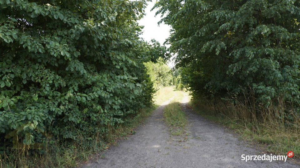 Działka gruntowa w Otwocku Wielkim pałacem Nieruchomości Otwock Wielki