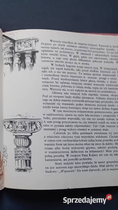 Wiktor Zin Piórkiem i węglem Piękno potężne