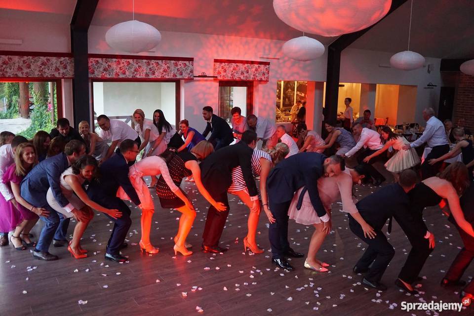 DJ na wesele Service Party Muzycy i artyści