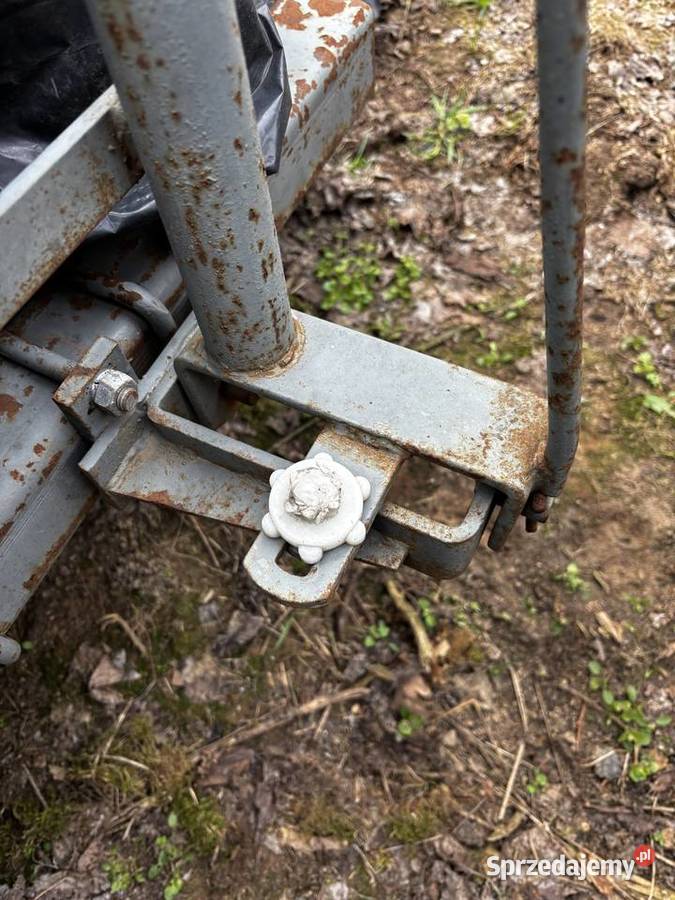 Siewnik do buraków Gamma wielkopolskie Czermin