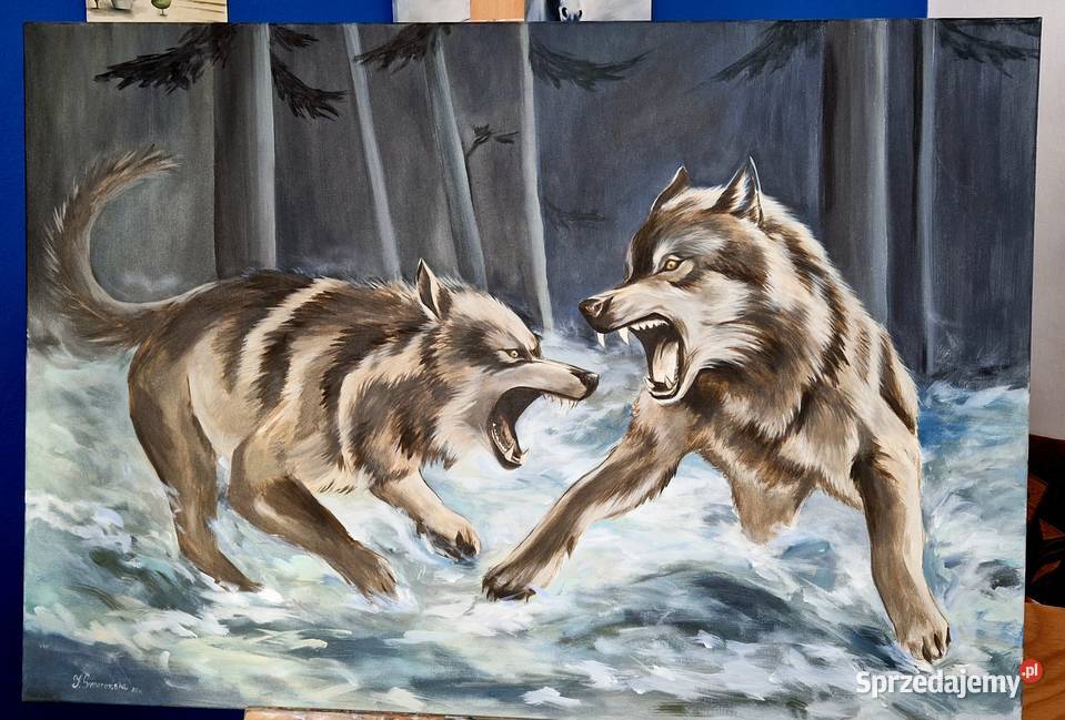 Obraz Wilki 100x70 mazowieckie