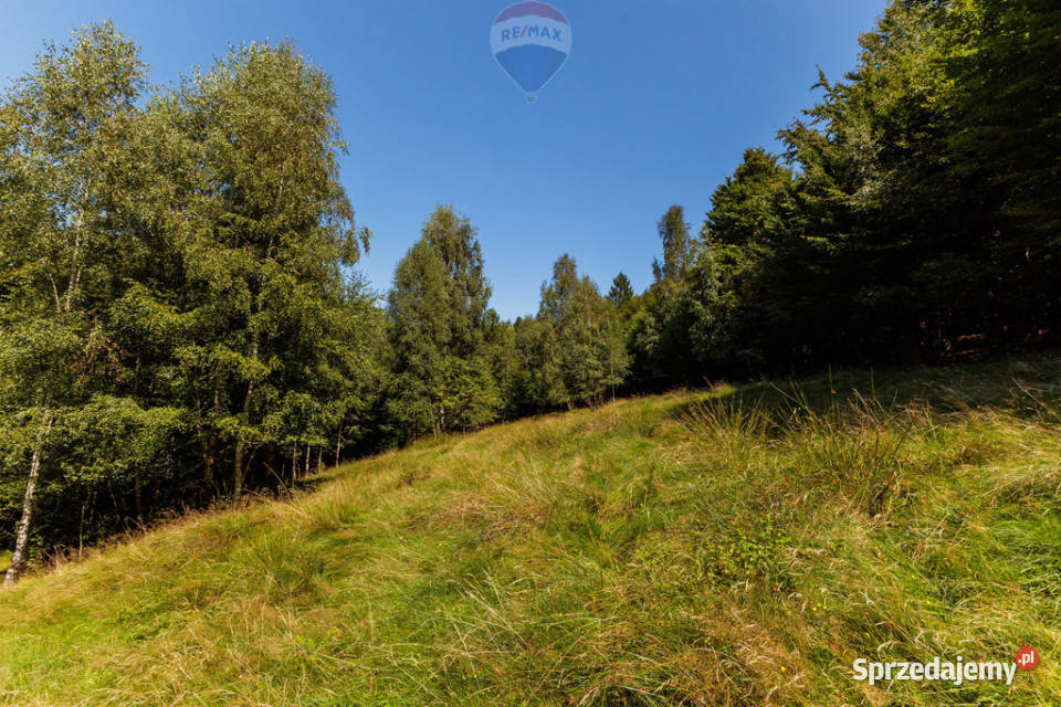 Działka z widokiem na góry Międzybrodzie Międzybrodzie Żywieckie