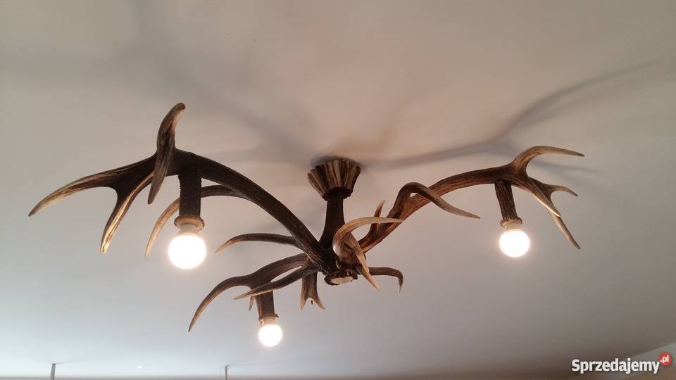 Żyrandol ze zrzutów poroża jelenia Szczecinek