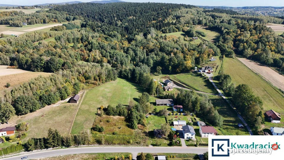 Działka 39400m2 Święcany rolna sprzedam