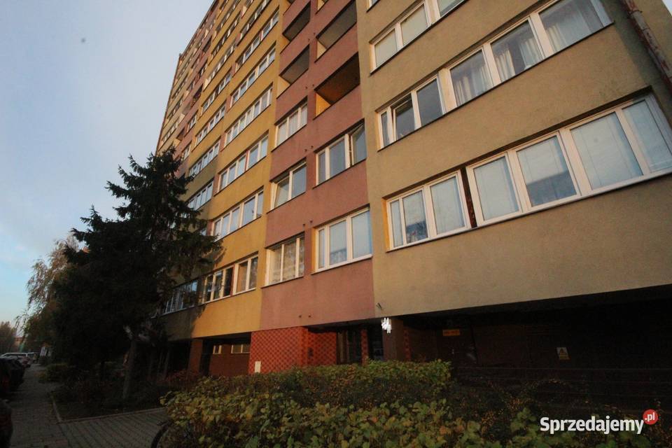 2pok 39met Szczepińskiej ROZKŁADPIWNICAWINDA własność Wrocław
