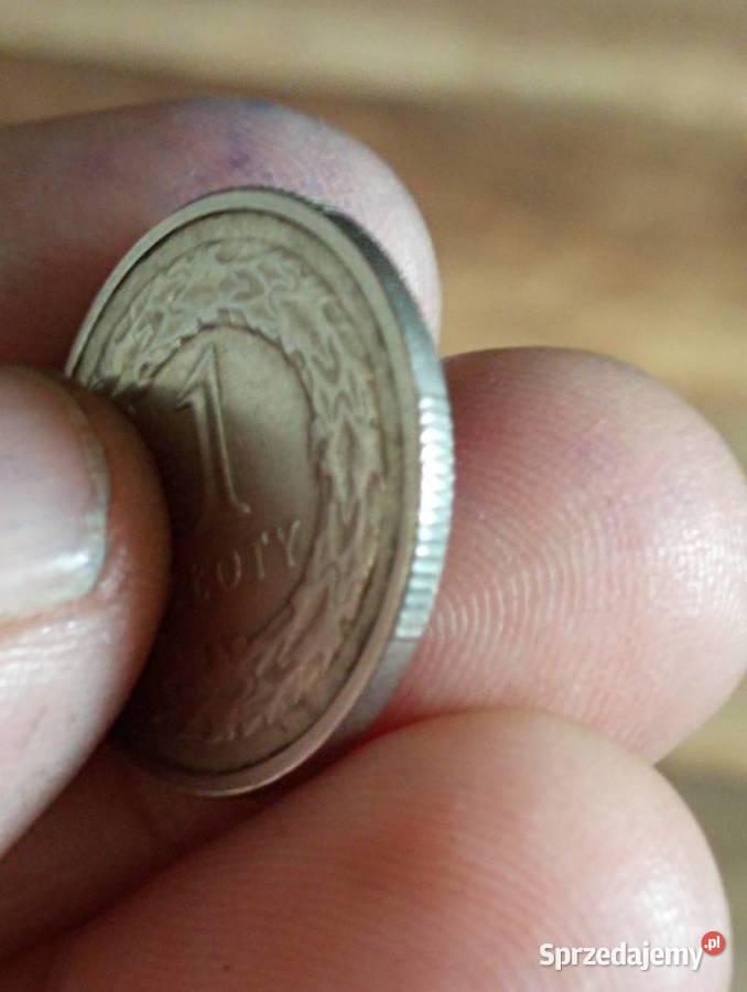 Sprzedam monete 1 zl 1993 Chełm sprzedam