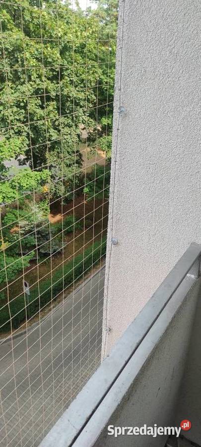 Siatki zabezpieczające Łódź usługa dla zwierząt