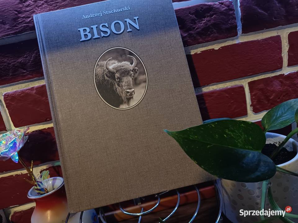 Luksusowy Album FOTO BISON ŻUBR 2003 EN Bydgoszcz