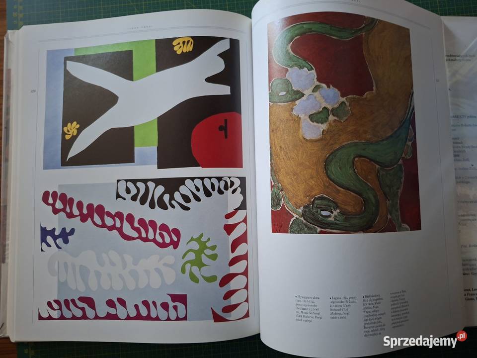 Życie i twórczość Henri Matisse Arkady Kraków