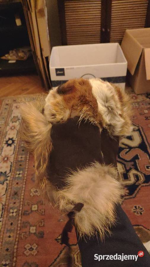 Trochę zwariowana czapka uszanka z futra Uniseks Warszawa sprzedam