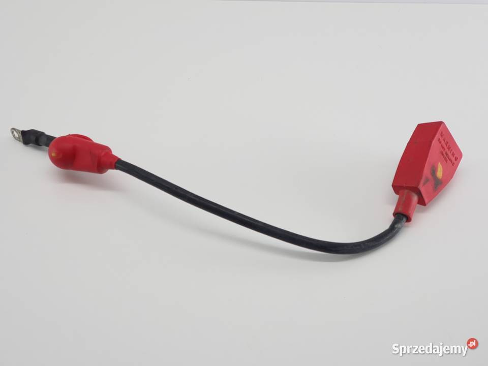 PRZEWOD PLUSOWY KABEL PEUGEOT EVIVACITY łódzkie Janowice