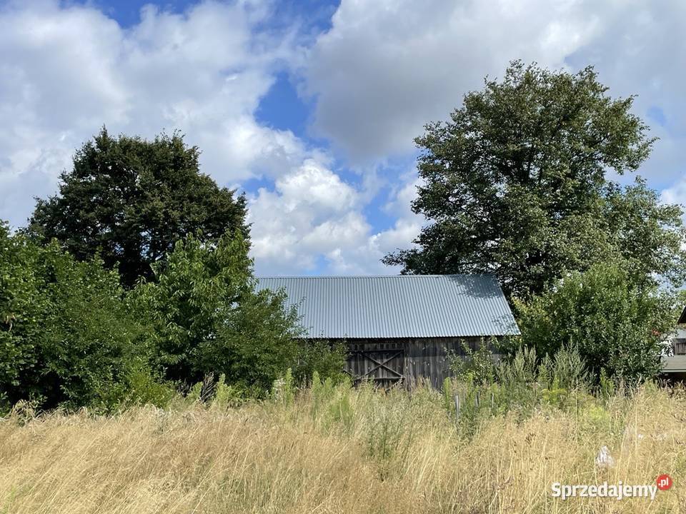 dom na wsi pole drewno Sprzedaż Wólka Zawieprzycka