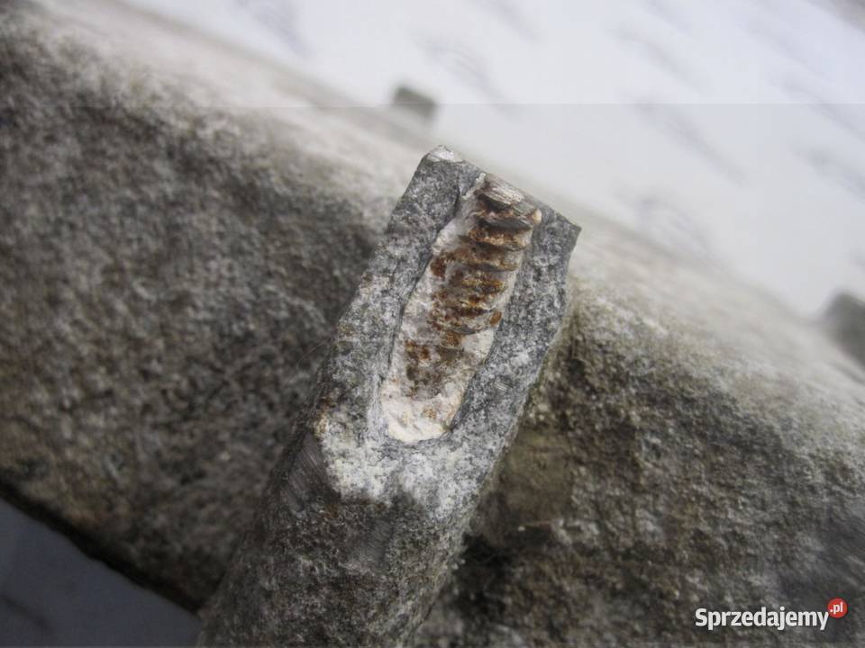 GRAND VOYAGER IV 06r klakson 703881157