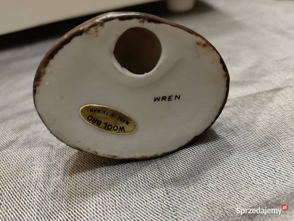 Ptak ptaszek Wren brązowy Zamość