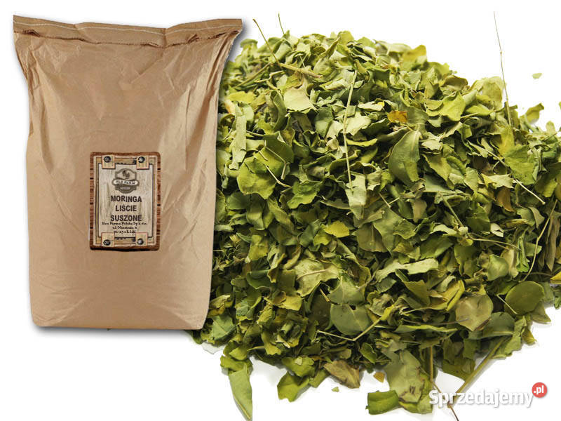 Moringa oleifera liście całe suszone z Indii
