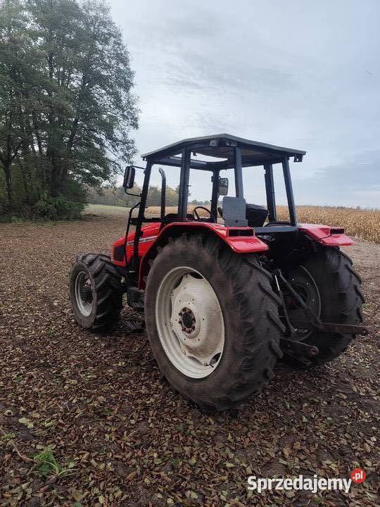 Massey Ferguson 4245 Massey Ferguson Maków Mazowiecki