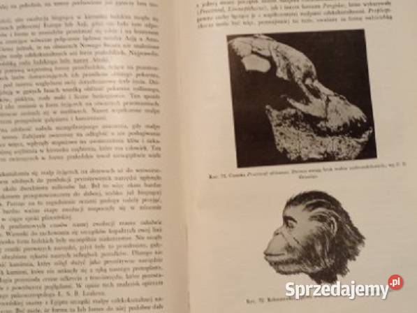 Ewolucjonizm SSkowron biologia Darwin medycyna biologia, ekologia Łódź sprzedam