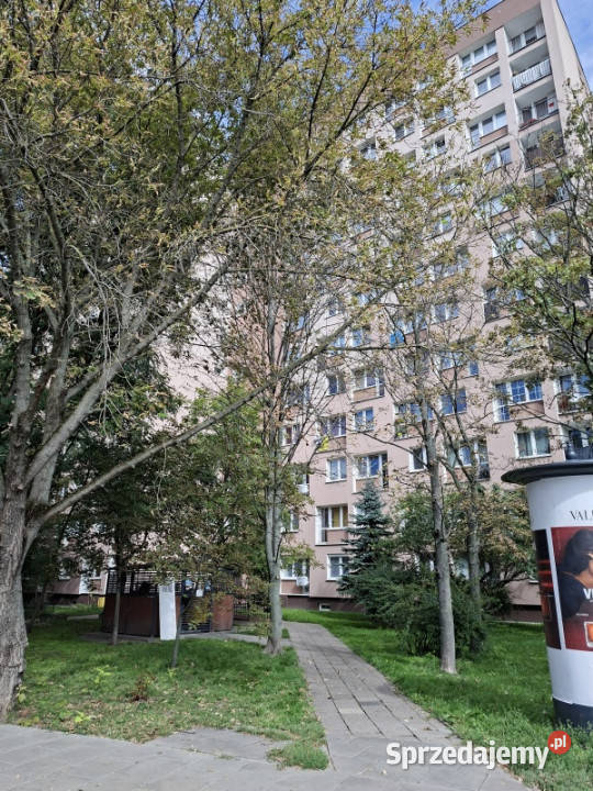 wynajme Warszawa