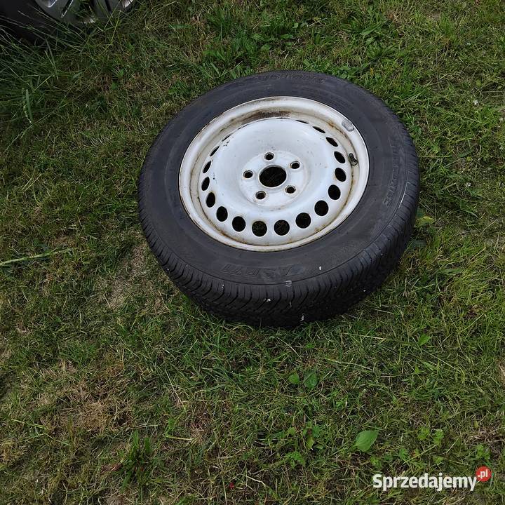 vw t5 kola letnie 16 Lubin