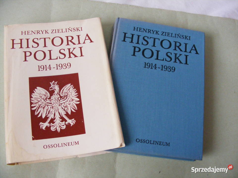 Dzieje Polski w zarysie Historia Polski Z historia, archeologia Oborniki Śląskie sprzedam