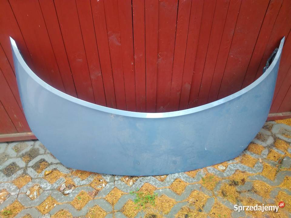 Maska renault scenic 19dci pomorskie Cieciorka