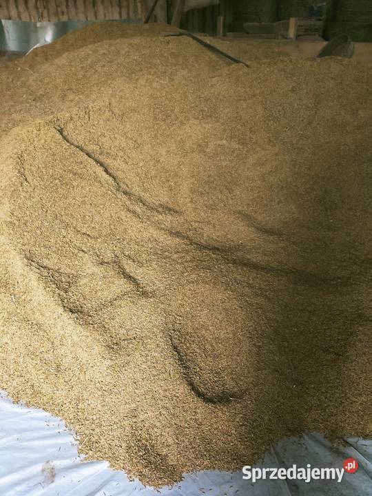 Owies mieszanka podlaskie Pace sprzedam