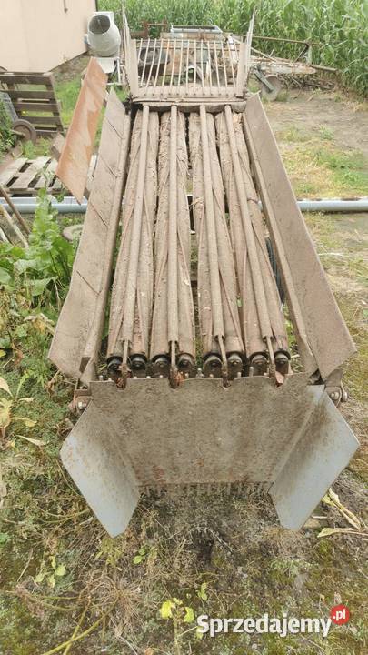 Obcinaczka wałkowa do cebuli Chełmce