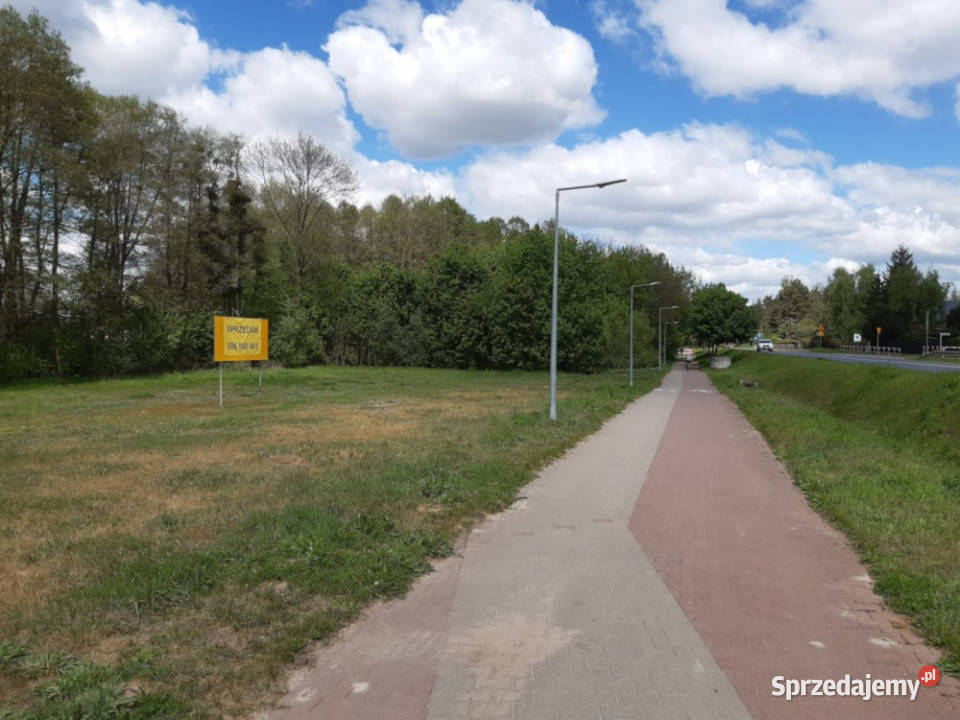 Murowana Goślina Działka 5913 m Usługi Zabudowa Nieruchomości