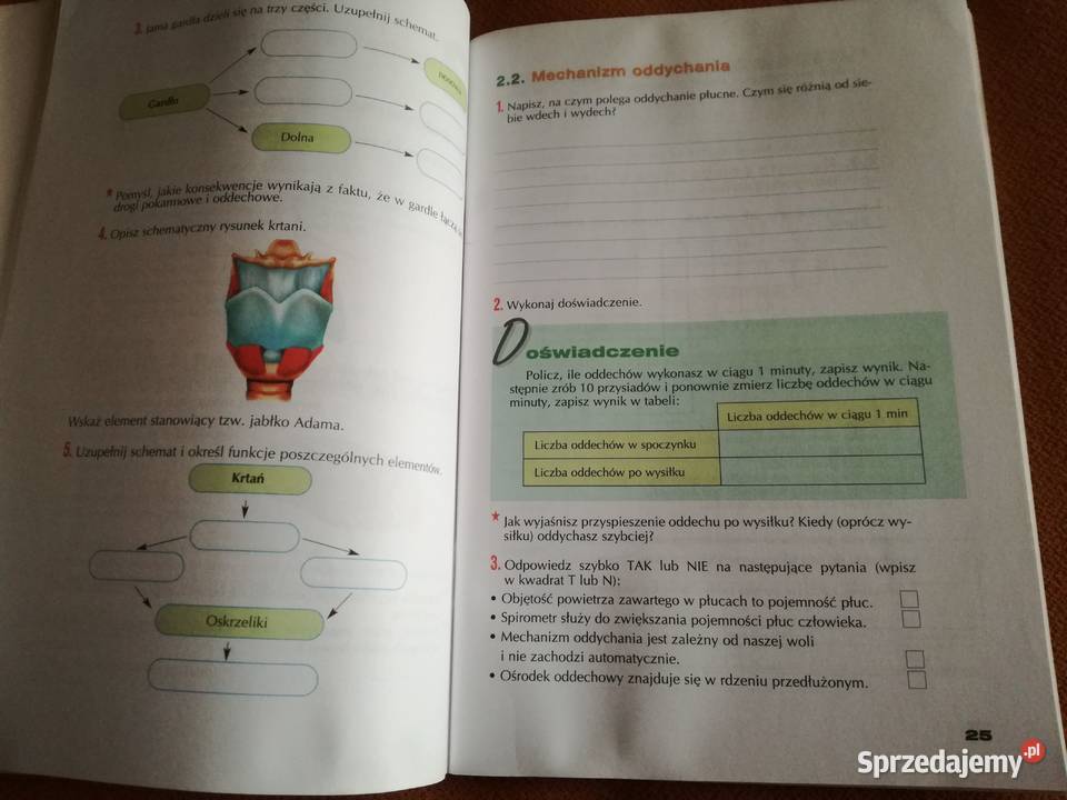 Biologia ćwiczenia 2 Gimnazjum Kiwiński Nowak łódzkie Łódź