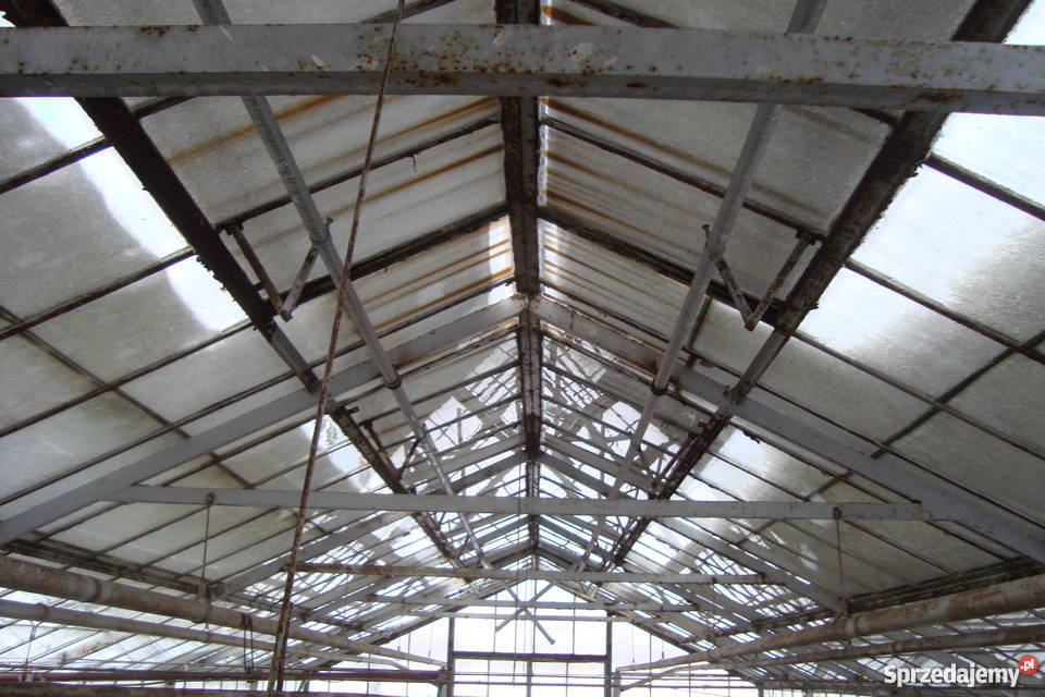 Szklarnie do rozbiórki 330 m2 Bochnia