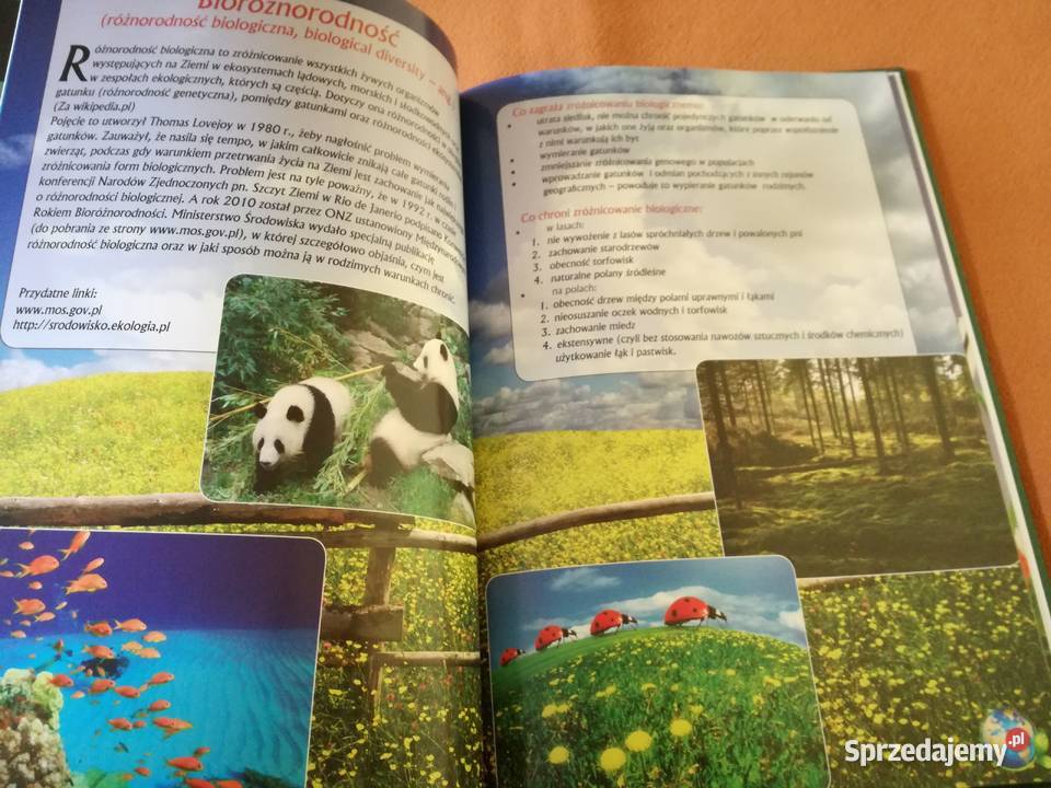 Ekologia Wydawnictwo FenixPoradnikalbum łódzkie Łódź