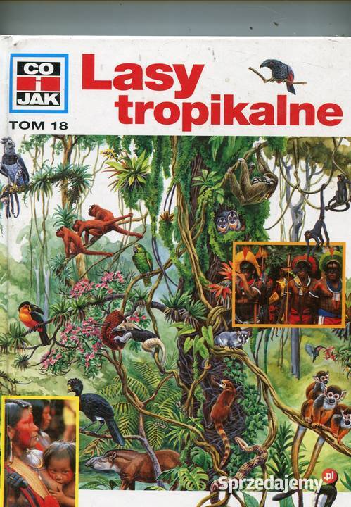 Co i Lasy tropikalne T18 Szczecin