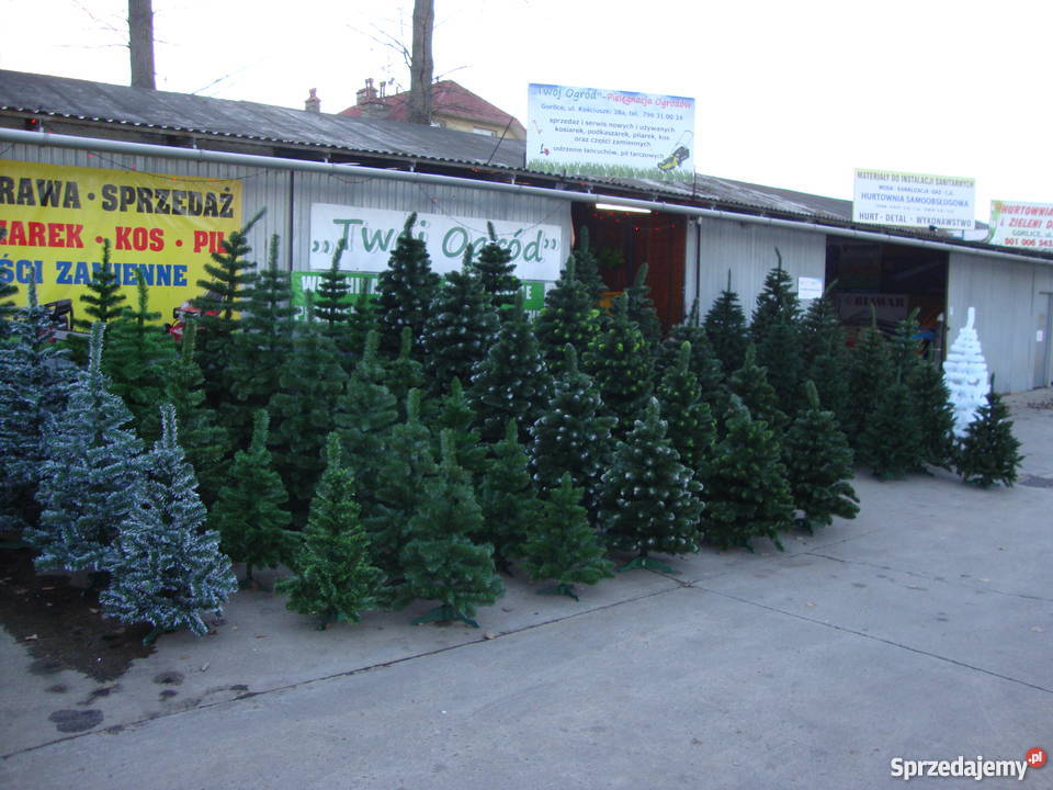 Choinki choinka sztuczna Choinki żywe Gorlice