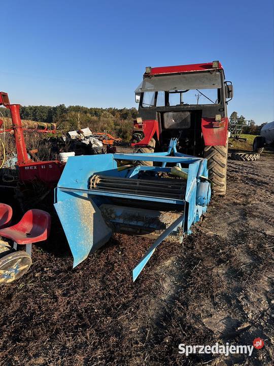 Maszyny do uprawy cebuli i ziemniaków Brodnica