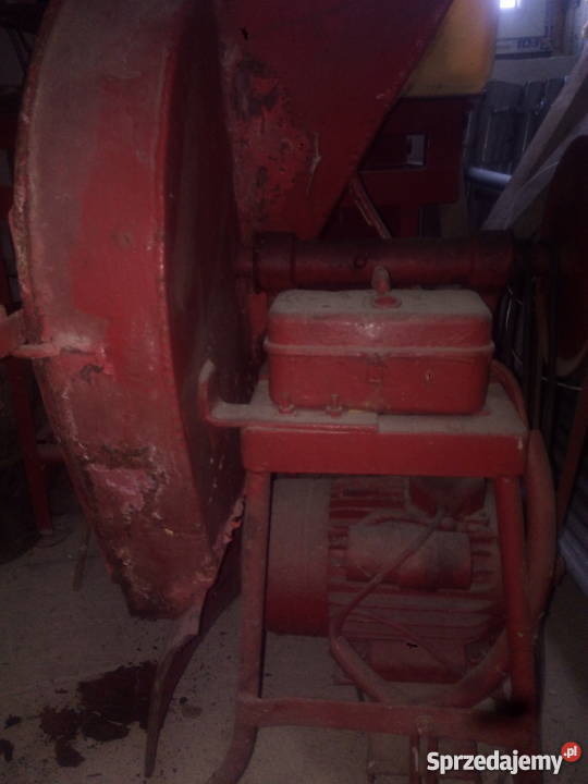 Buraczarka elektryczna Pruchnik