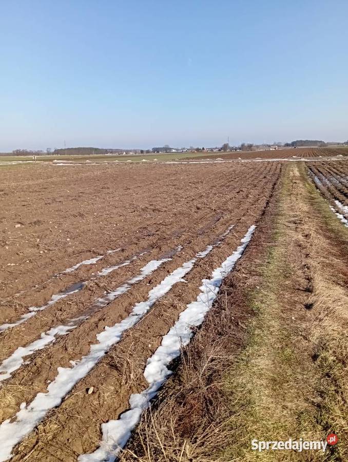 Sprzedam działkę rolną mazowieckie Nowa Wrona sprzedam