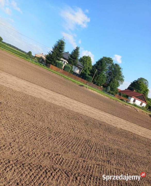 USŁUGI OGRODNICZE MACIEJOWICE garwolińskie