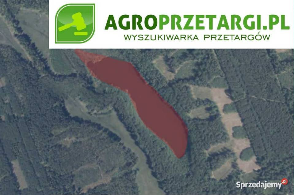 Dzierżawa 603 ha stawu Myślibórz