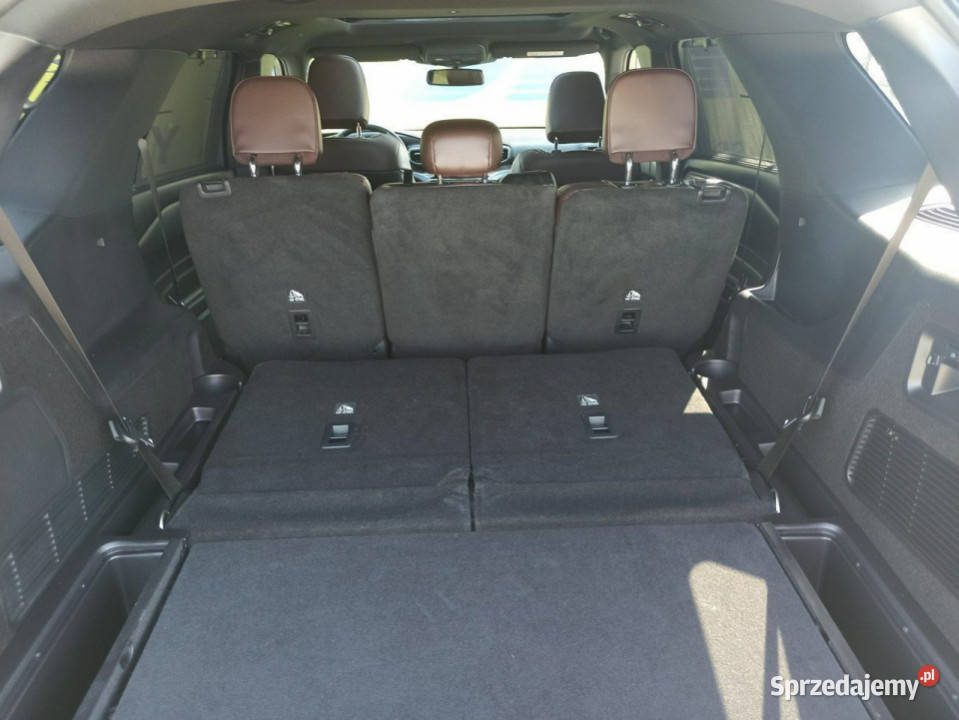 Hybryda Plugin 465 12 tkm Platinium Europa podkarpackie