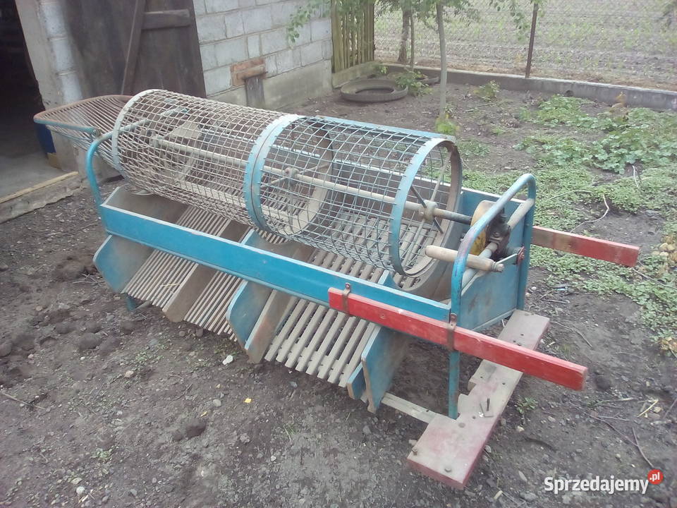 Sortownik do ziemniaków wielkopolskie Strzałkowo
