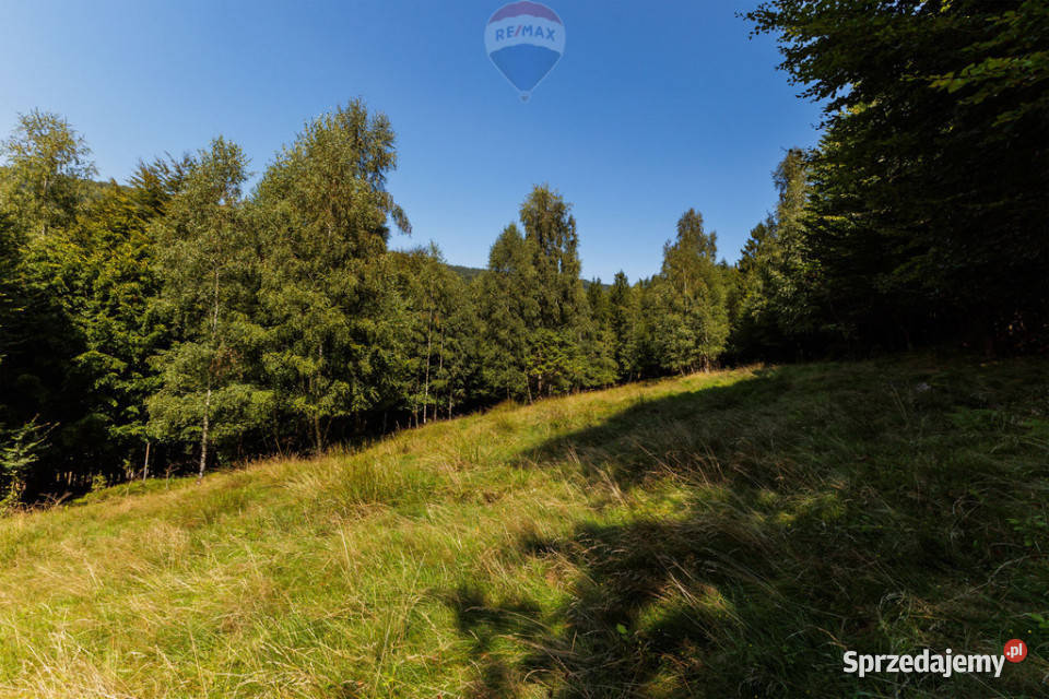 Działka z widokiem na góry Międzybrodzie Międzybrodzie Żywieckie sprzedam